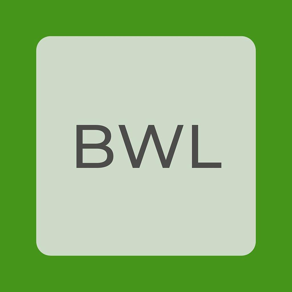 BWL erlebbar machen – Workshop für Naturwissenschaftler*innen (12.-21.11.24)